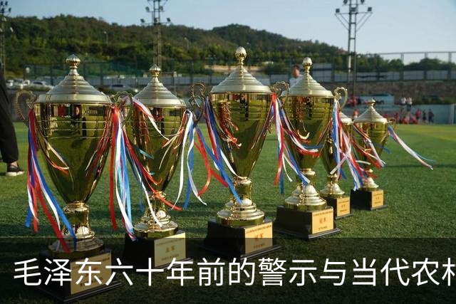 毛泽东六十年前的警示与当代农村发展的思考