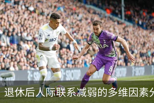 退休后人际联系减弱的多维因素分析